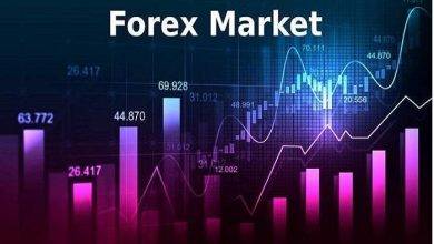 How to Find and Choose the Best Forex Brokers in the World