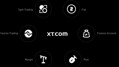 XT.Com Broker Review May Help You To Trade Properly
