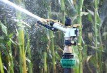 What to Consider When Selecting a Rain Gun Sprinkler