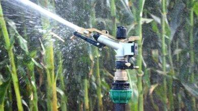 What to Consider When Selecting a Rain Gun Sprinkler