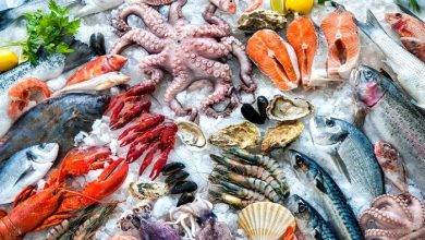 Buy fresh and healthy seafood from global seafood