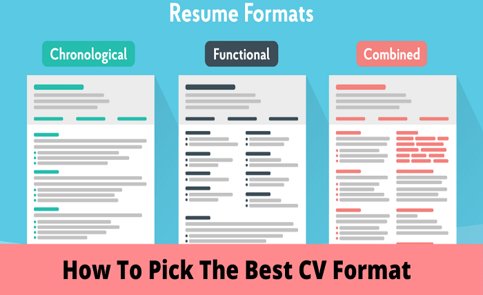 What is the Best CV Format
