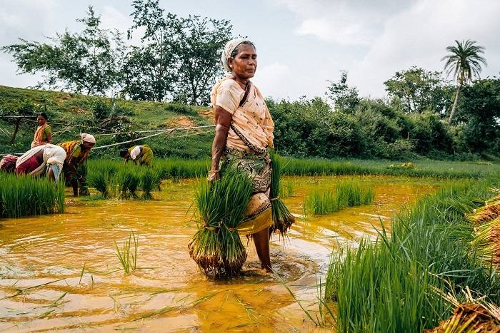 A Farm-Based Territory of Resilience and Cultural Diversity