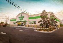 dollar tree newport news