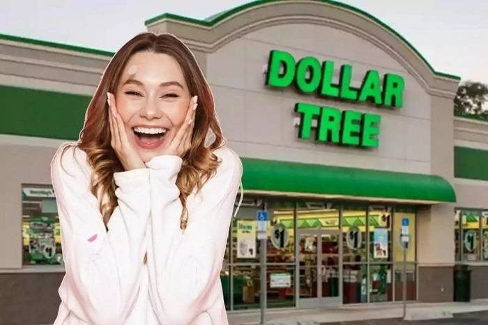 dollar tree newport news