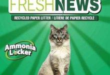 fresh news cat litter