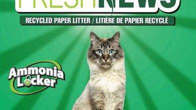 fresh news cat litter